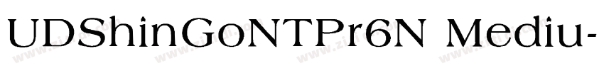 UDShinGoNTPr6N Mediu字体转换